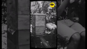 Radio Warroza Tube