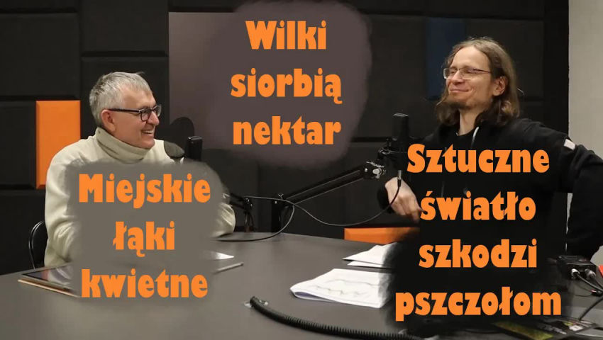 Pszczele Wieści - o przyrodzie naukowo
